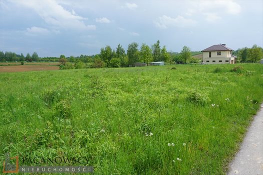 Działka budowlana na sprzedaż Zagórzyce Dworskie 2 400m2 Foto 5