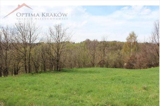 Działka budowlana na sprzedaż Głogoczów 1 200m2 Foto 2