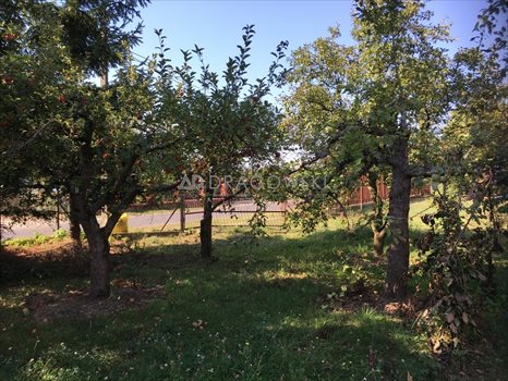 Dom na sprzedaż Stasi Las 115m2 Foto 6