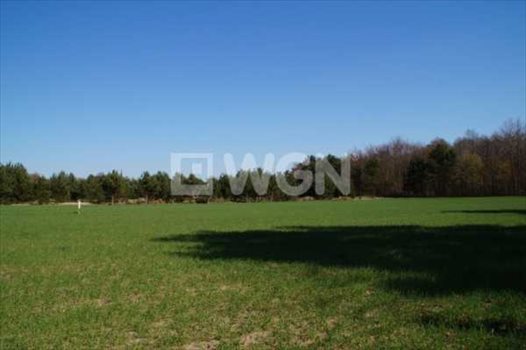 Działka budowlana na sprzedaż Machowino, Słupsk, Machowino 7 500m2 Foto 4