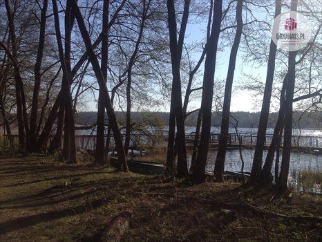 Działka rekreacyjna na sprzedaż Ząbie, Ząbie 2 981m2 Foto 9