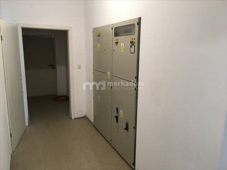 Lokal użytkowy na sprzedaż Tarnowo Podgórne 4 000m2 Foto 12