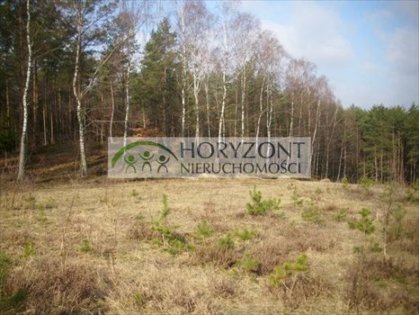 Działka budowlana na sprzedaż Gołubie 972m2 Foto 3