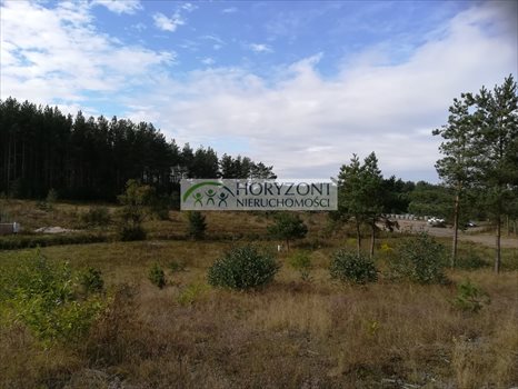 Działka budowlana na sprzedaż Bojano 3 932m2 Foto 10