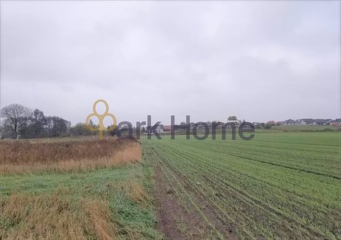 Działka budowlana na sprzedaż Dąbcze 803m2 Foto 2