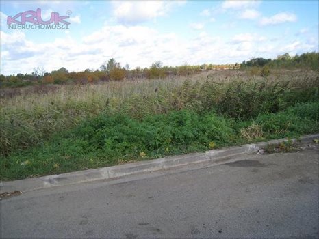 Działka inwestycyjna na sprzedaż Wrocław, Psie-Pole, Pełczyńska 4 900m2 Foto 2