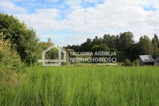 Działka budowlana na sprzedaż Tokary 2 540m2 Foto 2