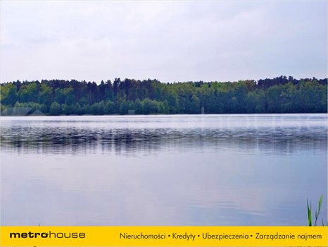 Działka siedliskowa na sprzedaż Pąchy, Miedzichowo 11 897m2 Foto 3