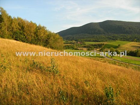 Działka budowlana na sprzedaż Skrzydlna 7 400m2 Foto 4