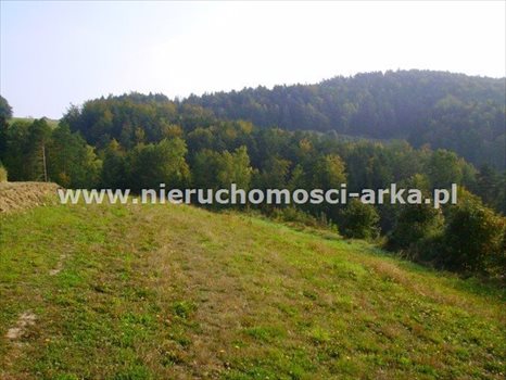 Działka budowlana na sprzedaż Kasinka Mała 2 300m2 Foto 1
