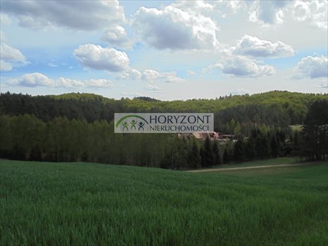 Działka inna na sprzedaż Ostrzyce 1 090m2 Foto 6