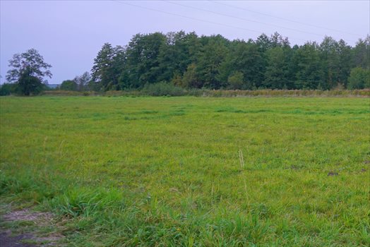 Działka budowlana na sprzedaż Jaktorów 1 258m2 Foto 5