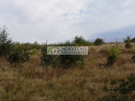 Działka budowlana na sprzedaż Bojano 3 932m2 Foto 8