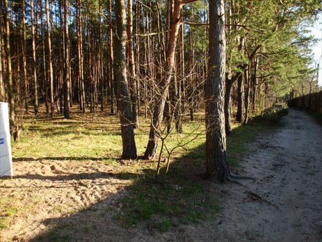 Działka budowlana na sprzedaż Otwock, Parkowa 2 000m2 Foto 2