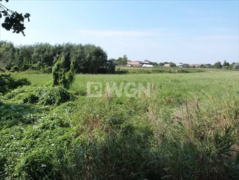 Działka budowlana na sprzedaż Dobrzyca, Dobrzyca, ul. Krotoszyńska 5 200m2 Foto 3