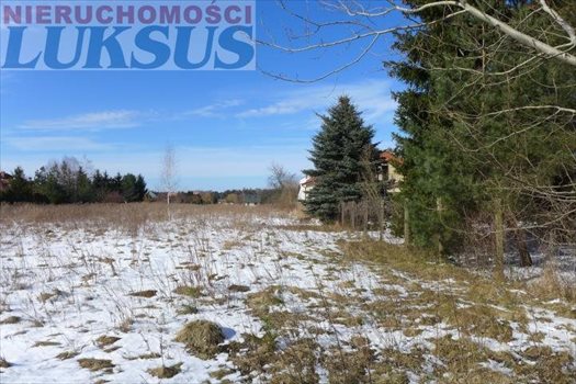 Działka budowlana na sprzedaż Łoś, Łoś 1 184m2 Foto 2