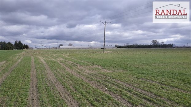 Działka inwestycyjna na sprzedaż Kępa 12 452m2 Foto 4