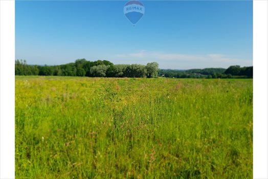 Działka budowlana na sprzedaż Grodziec 1 220m2 Foto 9