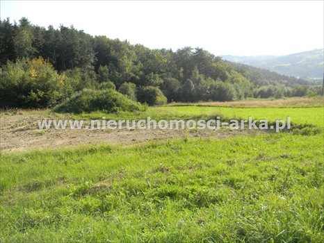 Działka budowlana na sprzedaż Limanowa, Sowliny 3 400m2 Foto 2