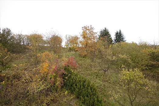 Dom na sprzedaż Kazimierz Dolny, Jeziorszczyzna 300m2 Foto 5