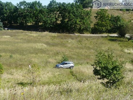 Działka budowlana na sprzedaż Potrzanowo 25 642m2 Foto 7