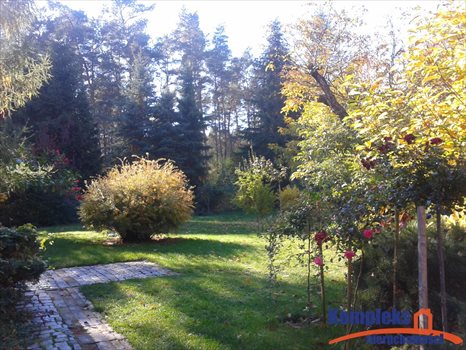 Dom na sprzedaż Golin 360m2 Foto 13