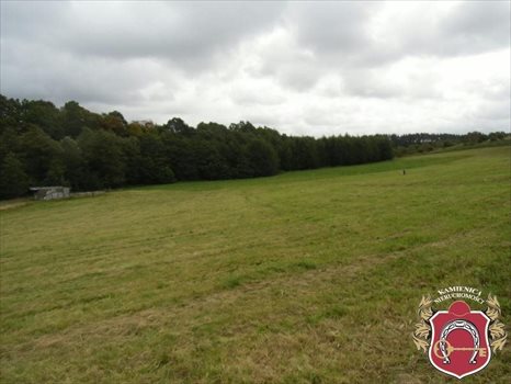 Działka budowlana na sprzedaż Donimierz, Otalerzyńska 30 333m2 Foto 3