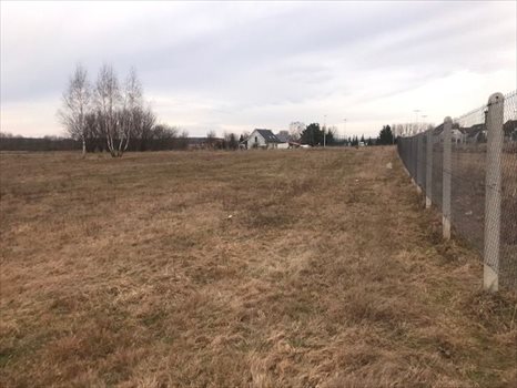 Działka budowlana na sprzedaż Radogoszcz 3 064m2 Foto 2