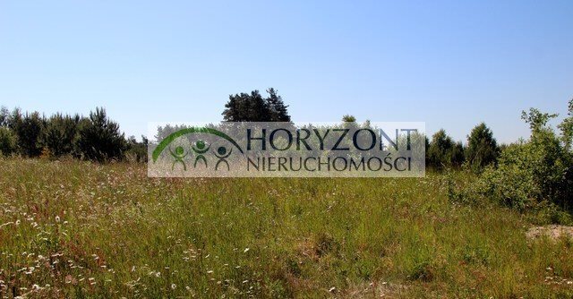 Działka budowlana na sprzedaż Bojano 1 000m2 Foto 2