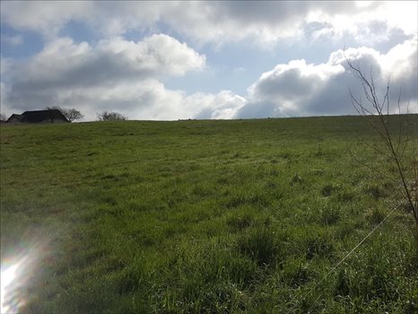 Działka inna na sprzedaż Łęcze, Tolkmicko 19 000m2 Foto 5