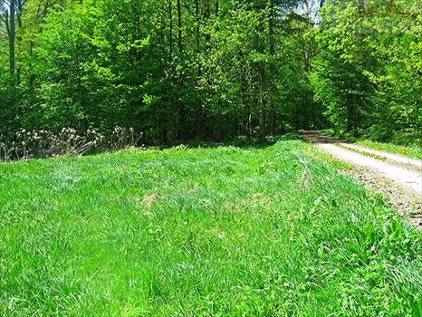 Działka rekreacyjna na sprzedaż Ujkowice 2 600m2 Foto 1