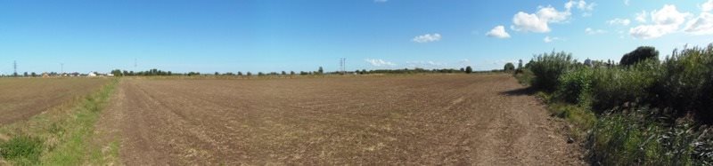 Działka inna na sprzedaż Nowy Dwór Gdański, Zagonowa 9 066m2 Foto 9