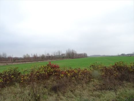 Działka inwestycyjna na sprzedaż Karpin, białostocka 15 908m2 Foto 8