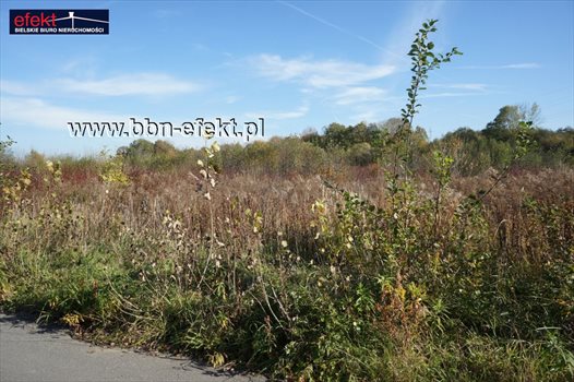 Działka inna na sprzedaż Bielsko-Biała, Stare Bielsko 1 835m2 Foto 4