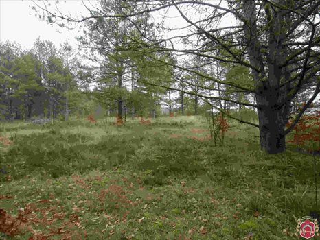 Działka budowlana na sprzedaż Kamień, Piaskowa 1 016m2 Foto 4