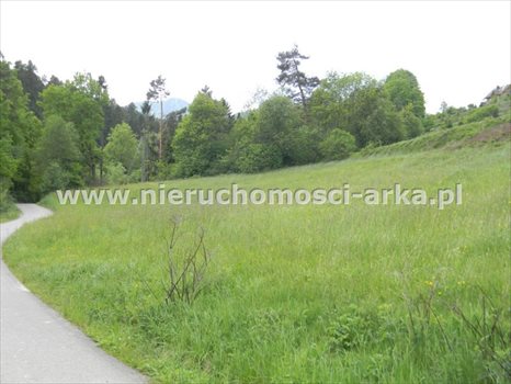 Działka budowlana na sprzedaż Mszana Dolna 2 400m2 Foto 3