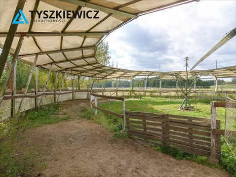 Działka inna pod dzierżawę Boroszewo 38 971m2 Foto 6