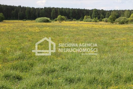 Działka budowlana na sprzedaż Lubowidz 1 005m2 Foto 8