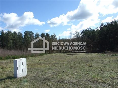 Działka budowlana na sprzedaż Sitno 1 001m2 Foto 2