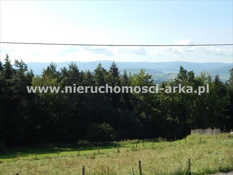 Działka budowlana na sprzedaż Mszana Dolna 1 300m2 Foto 5