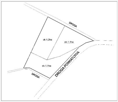 Działka siedliskowa na sprzedaż Nasławice, Nasławice 10 000m2 Foto 2