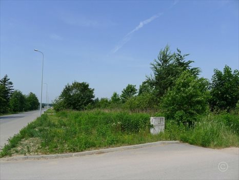 Działka inna na sprzedaż Rosanów 2 712m2 Foto 4