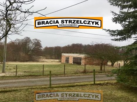 Działka rolna na sprzedaż Górka Powielińska 5 500m2 Foto 5
