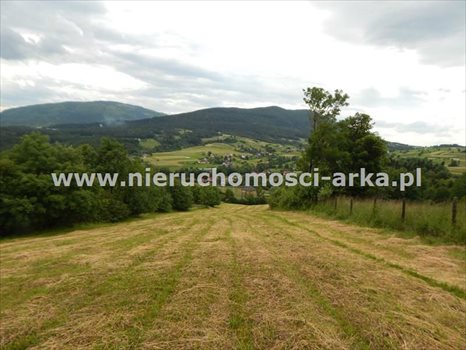Działka budowlana na sprzedaż Dobra 6 100m2 Foto 2