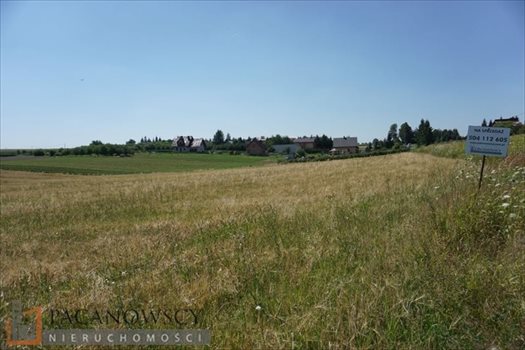 Działka budowlana na sprzedaż Cianowice Duże 14 384m2 Foto 7
