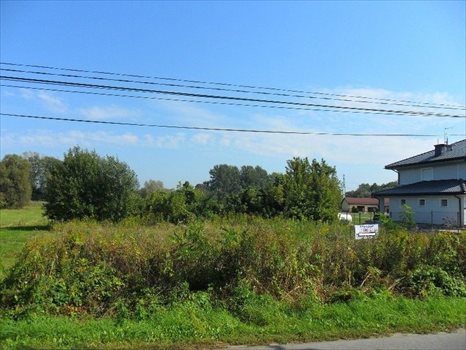 Działka budowlana na sprzedaż Warszawa, Wilanów, Ruczaj 1 200m2 Foto 4