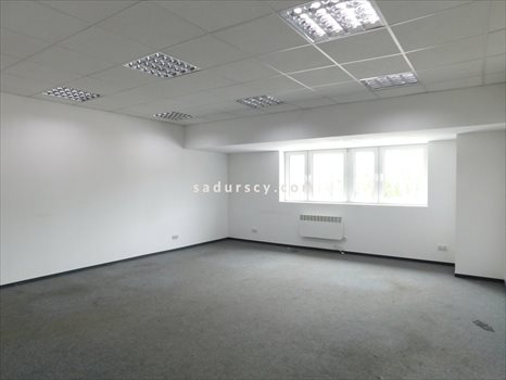 Lokal użytkowy na wynajem Piaseczno 250m2 Foto 2