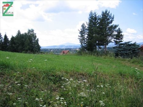 Działka budowlana na sprzedaż RABKA-ZDRÓJ 1 505m2 Foto 3