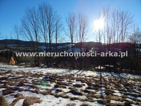 Działka budowlana na sprzedaż Wilczyce 1 900m2 Foto 5