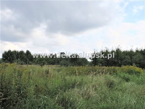 Działka inna na sprzedaż Kobylnica 1 082m2 Foto 2